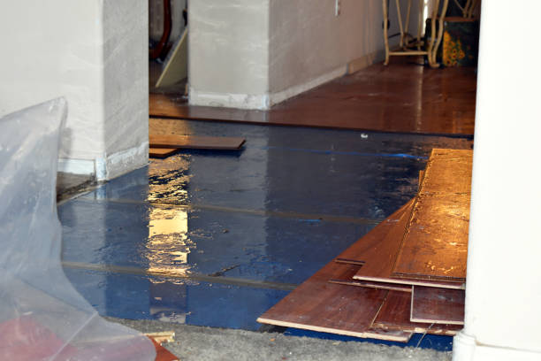 Professional Burst Pipe Cleanup technician working in Leming, TX